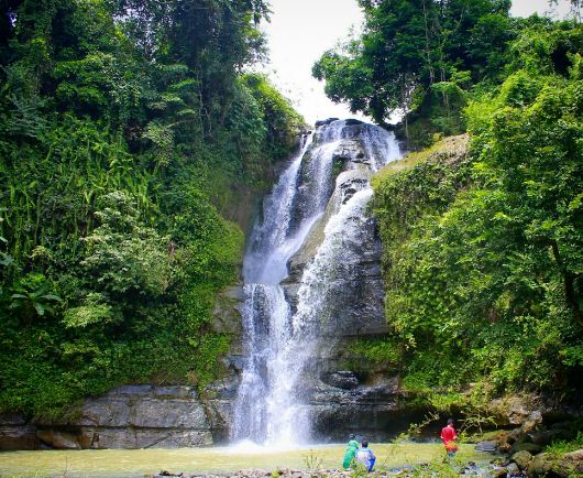 Demangkarta: Cilacap's Green Heart, Just 15 Minutes Away